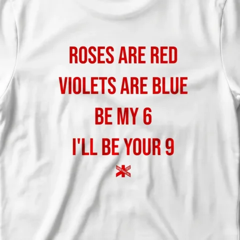 Roses are red, Violets are blue, Be my 6, I'll be your 9